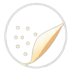 Peel-Clean Face